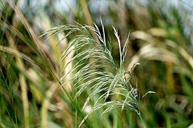  《英灵殿之子》登陆PC平台 维京背景战斗经营新游